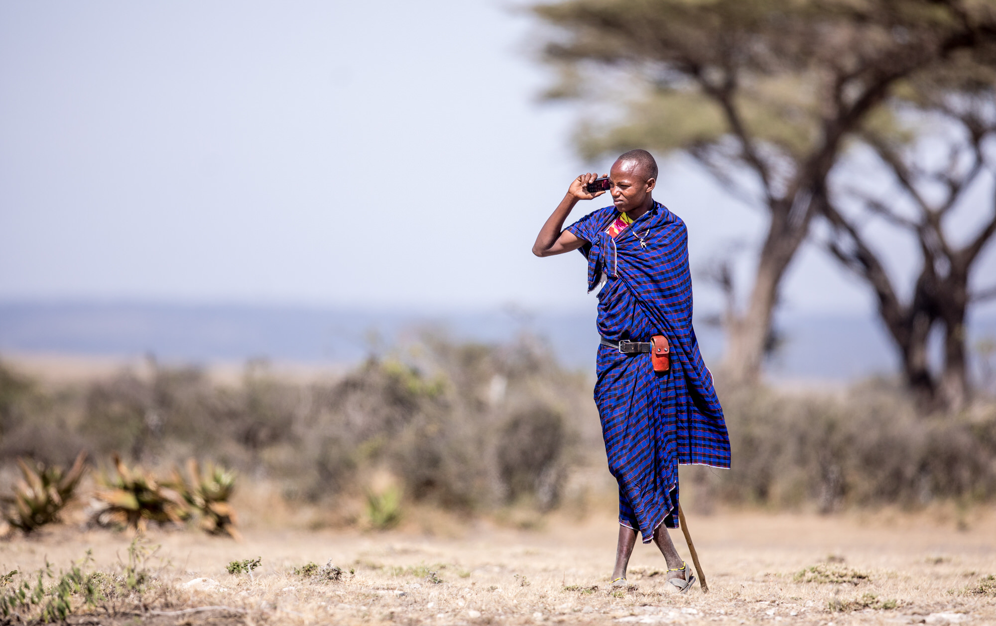 Kenya safari destination